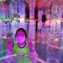 태풍&점핑클럽 이미지