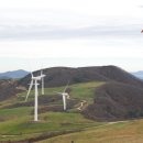 샘골목장 이미지