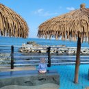 야자수 펜션 민박 이미지