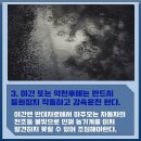 금성치안센타 이미지