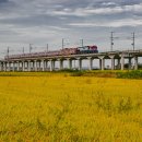 대장주유소 이미지