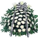 신월동062 이미지