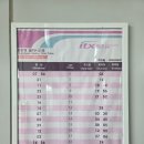 금곡안로 45-1 | ITX 경춘선 주차장 위치·요금 총정리｜춘천~용산 열차 시간표 비교 안내｜춘천여행 팁