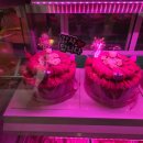 모란식당 | 모란맛집_태평동맛집_태평동정육식당_성남정육점_모란삼겹_리뷰_후기