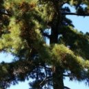 가곡농장 이미지