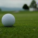 두성스크린골프 이미지