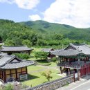 늘빛강가 이미지