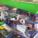 종로5가역 8번출구 이미지