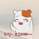 303 이미지