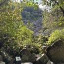 매봉산 바람의언덕 | 2025.9.5~6. 시원한 태백 - 매봉산 바람의 언덕 &amp; 두 번째 오르는 태백산