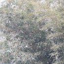 주안4동주민센터 이미지