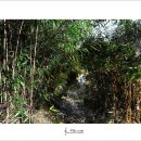 극락둑길 이미지