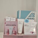 주식회사 신텍스헬스케어 | [사당/방배 다이어트] 체질 개선 다이어트 셀포랩 밸런스 방문 후기(내장지방 -2)