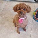 은마로동물병원 이미지