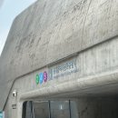 서울육묘 | DDP 아기상어 비밀초대장 :버커밍샤크 첫날 솔직후기