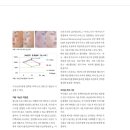 김석주피부과의원 | [D&amp;PS] 여우필_김석주 클리닉텐 원장