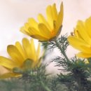 민행정사사무소 이미지