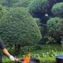 백화원리조트 이미지