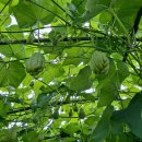 정수농장 이미지