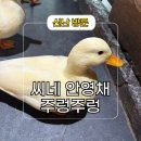 2동탄 실내 데이트 아이와 놀거리 씨네 안영채 및 주렁주렁 후기