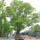 능길역 2번출구 이미지