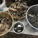 바람아래 이미지