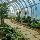 솔향수목원(전시온실) 이미지