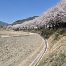 백전면사무소