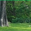 의료법인 한국필의료재단 이미지