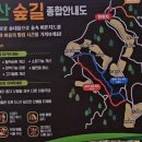 입화산 제2오토야영장 | 도심 속 일상에 찍는 푸른 쉼표 입화산 힐링 산행