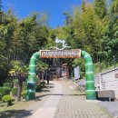 맹종죽테마파크1 이미지