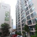 삼우 이미지
