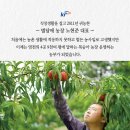 영천우리농장 이미지