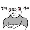 크로스핏레온 이미지