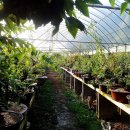 한솔건장 이미지