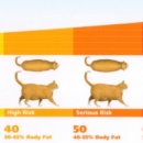 가나동물병원 이미지