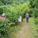 청강농원 이미지