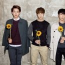 씨엔블루 이미지