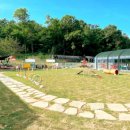 산속애견 이미지