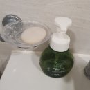 서정호 황칠 S&PANAX | 미스트 / 올인원 물비누 / 황칠나무 / 효능 / 발효 화장품 / 자연에서 온 황칠 미스트 &amp; 물비누 사용 후기