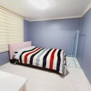 포시즌밸리계곡애견펜션 이미지