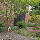 소더스111 이미지