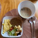 엘스약국 | [몽골] 몽골여행 6박7일 투어(3) / 낙타트래킹, 홍고린엘스, 모래썰매