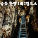 남한강 절경부터 패러글라이딩까지 즐기는 1박2일 단양 여행 코스 총정리