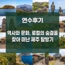 [연수후기]역사와 문화, 로컬의 숨결을 찾아 떠난 제주 탐방기