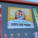 둥둥펫살롱 | 학여울 SETEC 23회 궁디팡팡 캣페스타 고양이 박람회 관람 후기