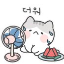 카페라픽