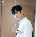 미인개 이미지