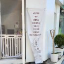 고양이 주택 | 봉천역 냥이주택 고양이카페 후기(예약 꼭하고가세요)
