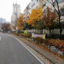 상오정로182번길 Daum카페
